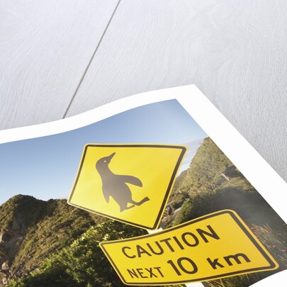 Penguin Crossing Sign by Anonymous