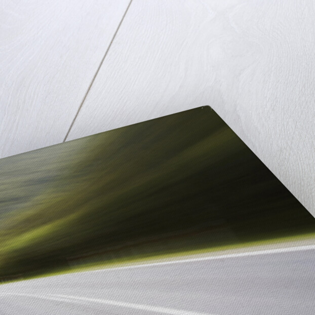 Driving on Highway by Anonymous