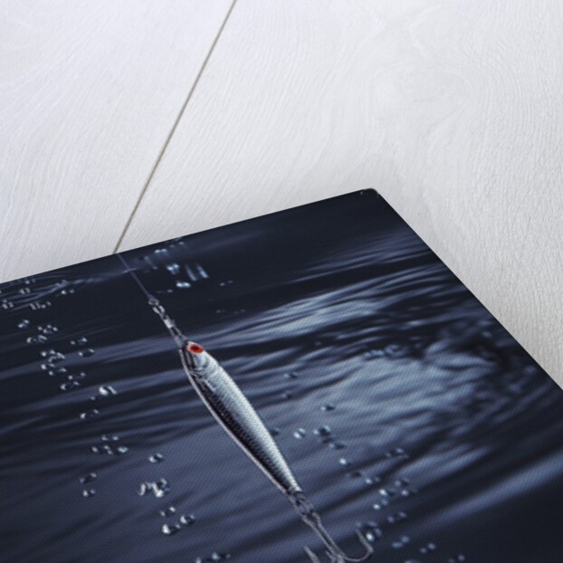 Fishhook by Anonymous