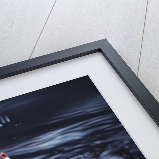 Fishhook by Anonymous