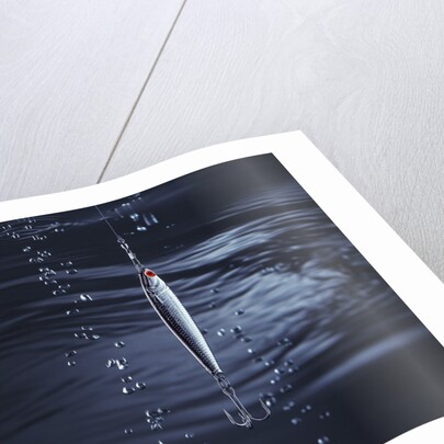 Fishhook by Anonymous