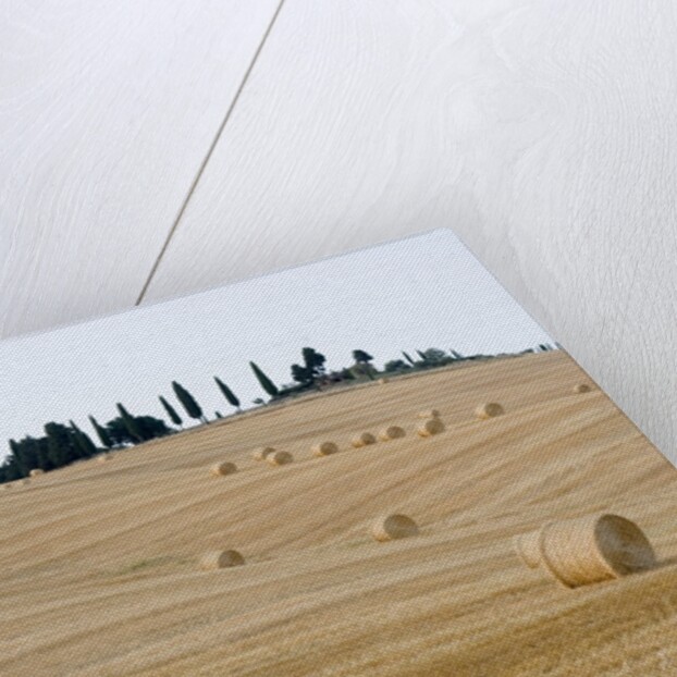Bales of Hay on Tuscan Farm by Anonymous