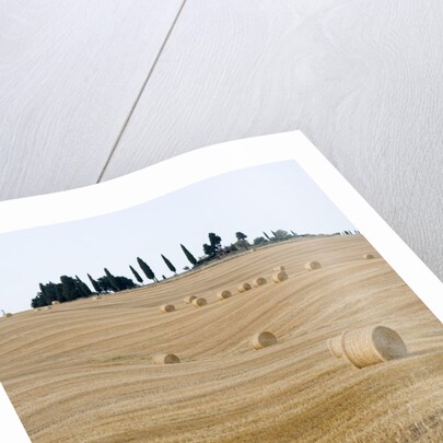 Bales of Hay on Tuscan Farm by Anonymous