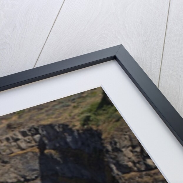 Rainbow in Mist of Waterfall by Anonymous