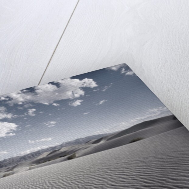 Sand Dunes by Anonymous
