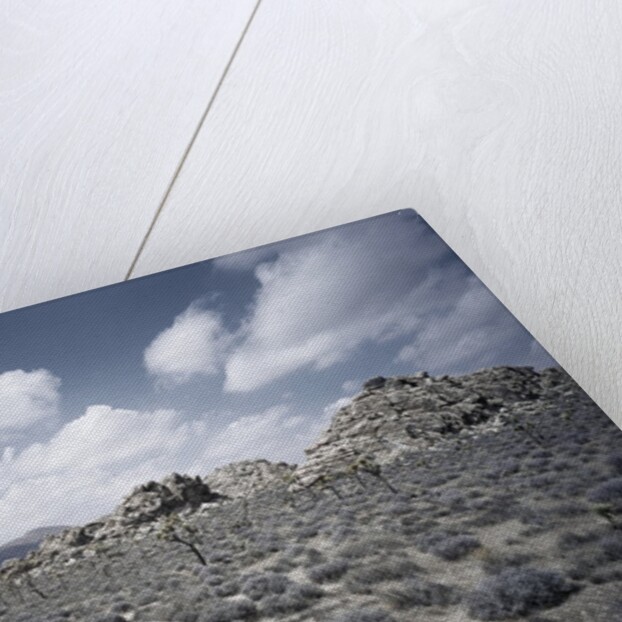 Scrubland and Rock Formations by Anonymous