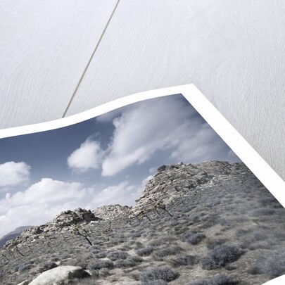 Scrubland and Rock Formations by Anonymous