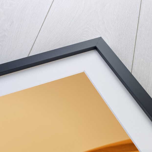 Single Tree in Sand Dunes by Anonymous