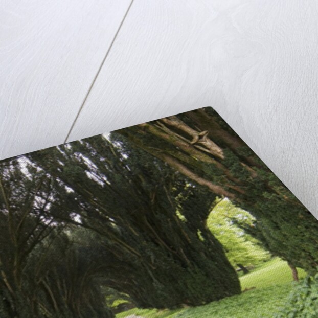 Woodstock Gardens and Arboretum by Anonymous