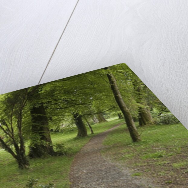 Woodstock Gardens and Arboretum by Anonymous