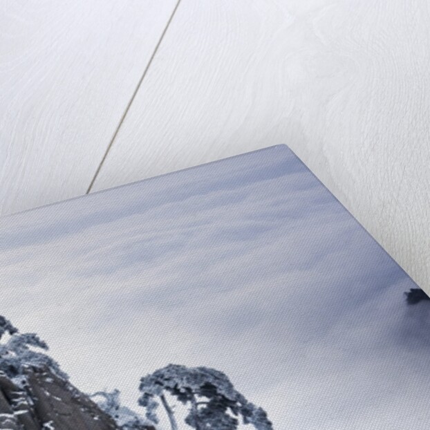 Huangshan Mountains in Winter by Anonymous