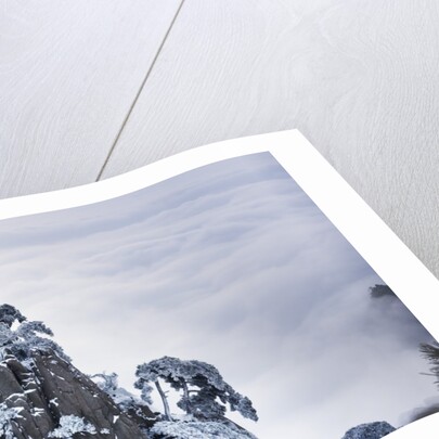 Huangshan Mountains in Winter by Anonymous