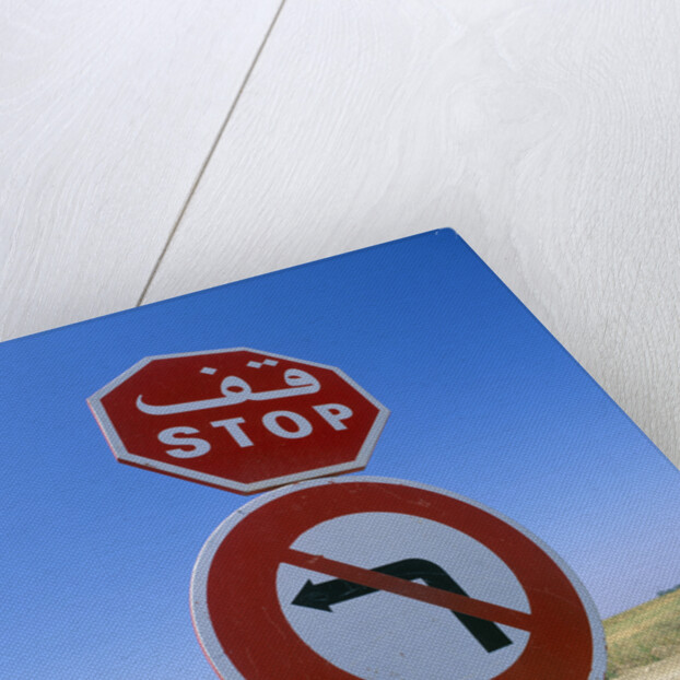 Stop and No Left Turn Signs by Anonymous