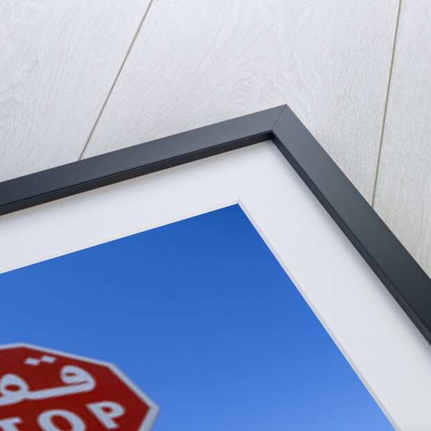 Stop and No Left Turn Signs by Anonymous