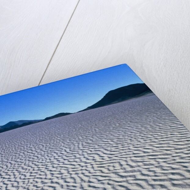 Wind Pattern in Desert Sand by Anonymous