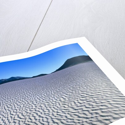 Wind Pattern in Desert Sand by Anonymous