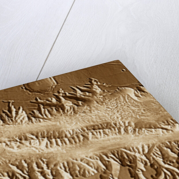 Valles Marineris by Anonymous