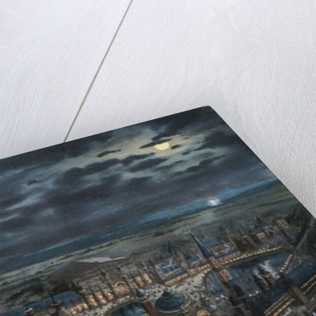 Bird's Eye View of Luna Park by Anonymous