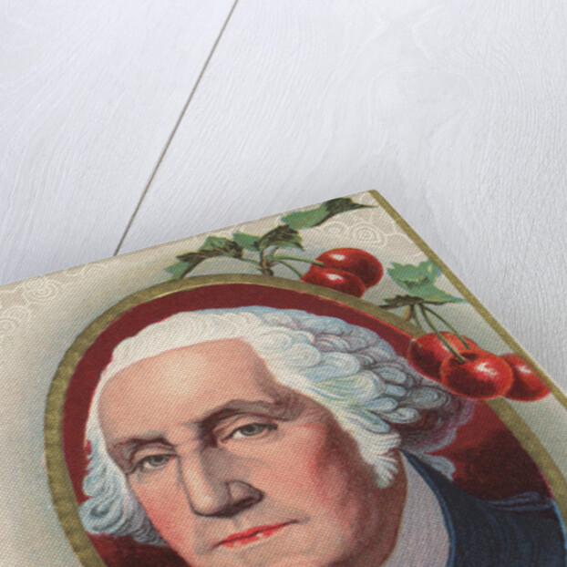 Washington's Birthday Greetings Postcard by Anonymous