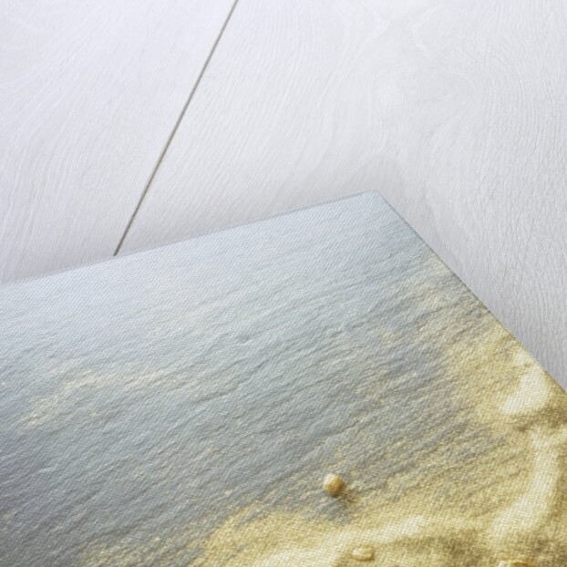 Gold Dust on a River Bank by Anonymous