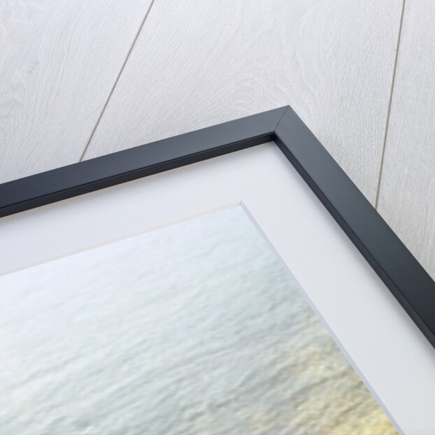 Gold Dust on a River Bank by Anonymous