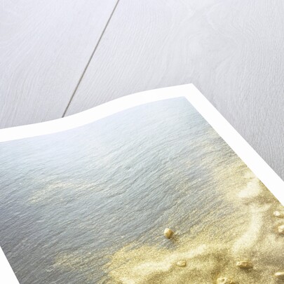 Gold Dust on a River Bank by Anonymous