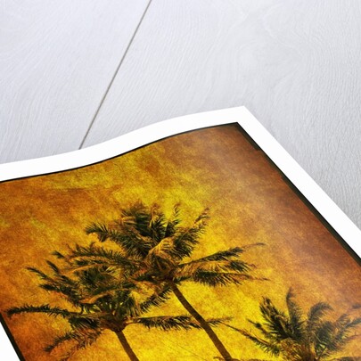 Three Palms by Doug Landreth