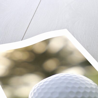 Golf by Anonymous