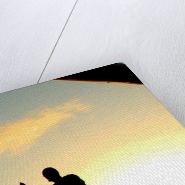 2006 Santa Anita Derby by Anonymous