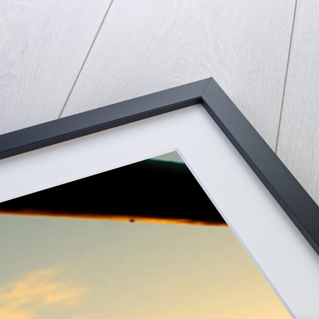 2006 Santa Anita Derby by Anonymous