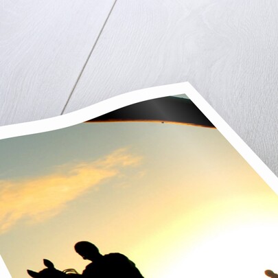 2006 Santa Anita Derby by Anonymous