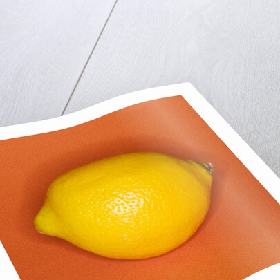 Lemon by Anonymous
