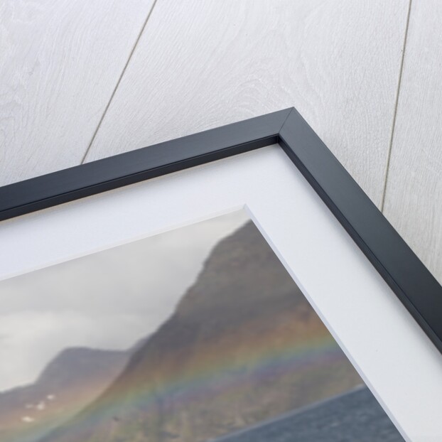 Rainbow and King Penguins on South Georgia Island by Anonymous