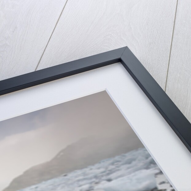 Elephant Seal on South Georgia Island by Anonymous