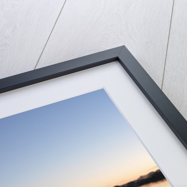 The Jefferson Memorial by Anonymous