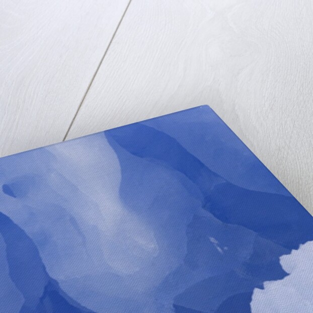 Eroded Blue Iceberg Floating at South Georgia Island by Anonymous