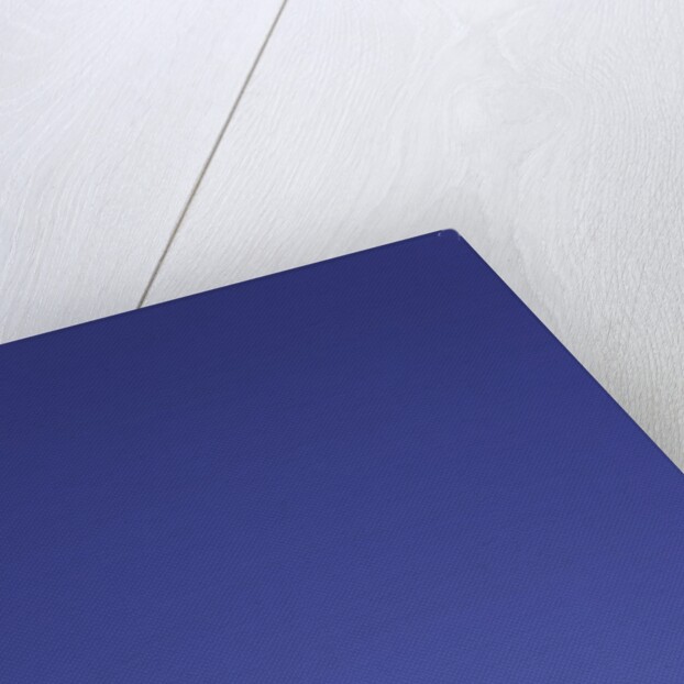 King Penguin by Anonymous