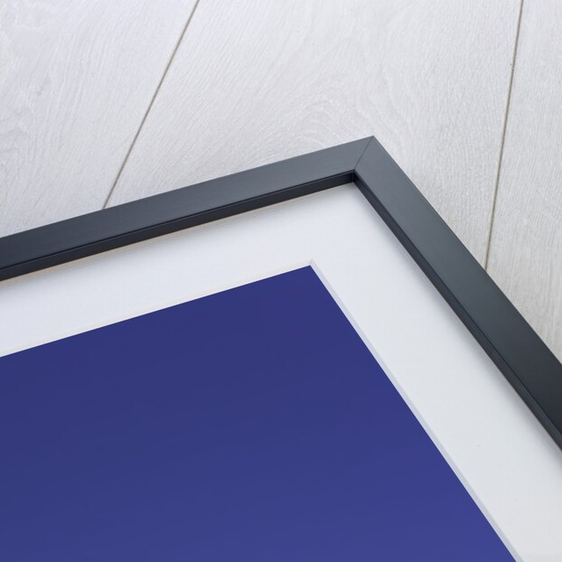 King Penguin by Anonymous