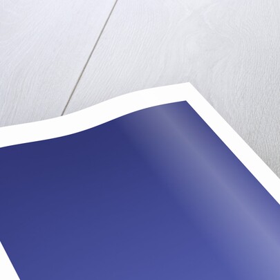 King Penguin by Anonymous