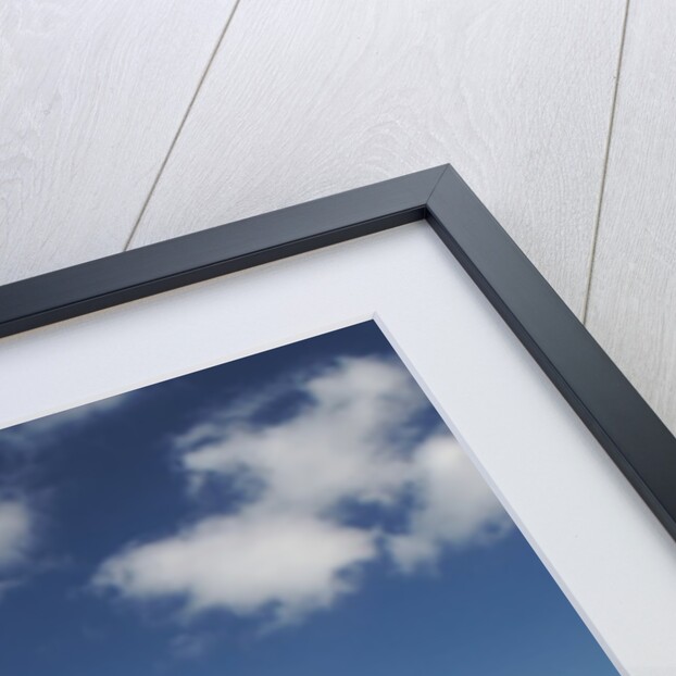 Temple of the Four Winds by Anonymous