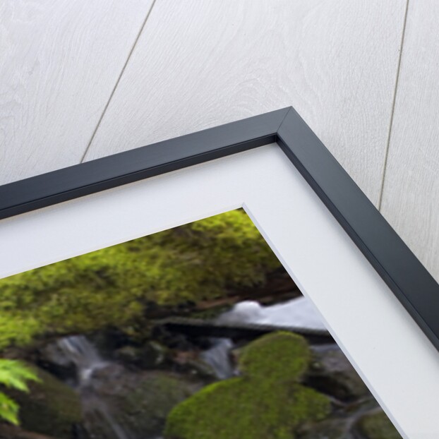 Waterfall and Mossy Rocks by Anonymous