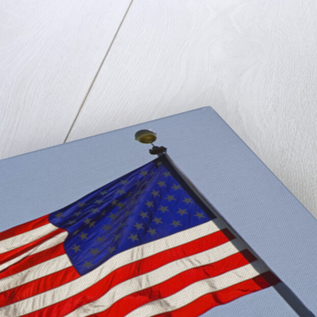 American Flag on Flagpole by Anonymous