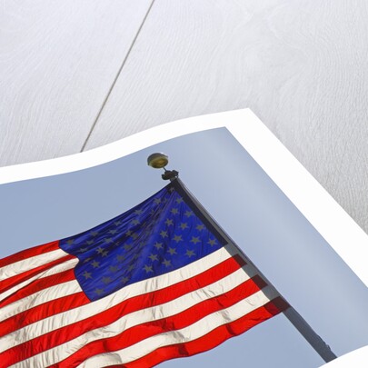 American Flag on Flagpole by Anonymous