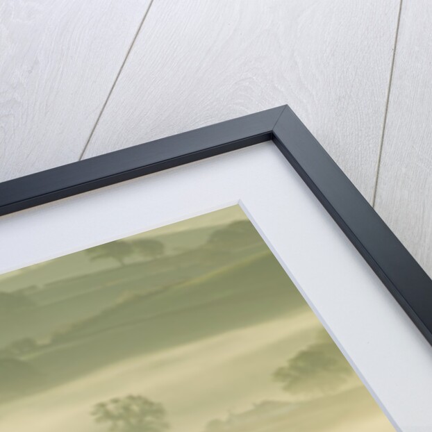 Foggy Grassland by Anonymous