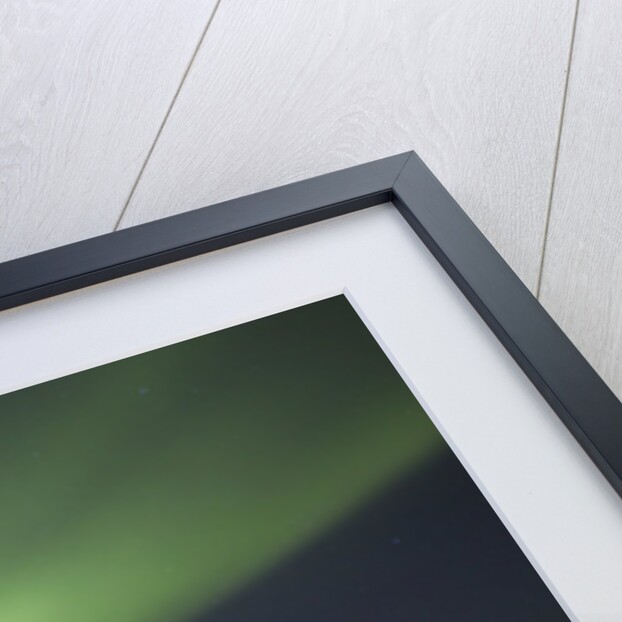 Aurora Borealis over Reykjavik by Anonymous