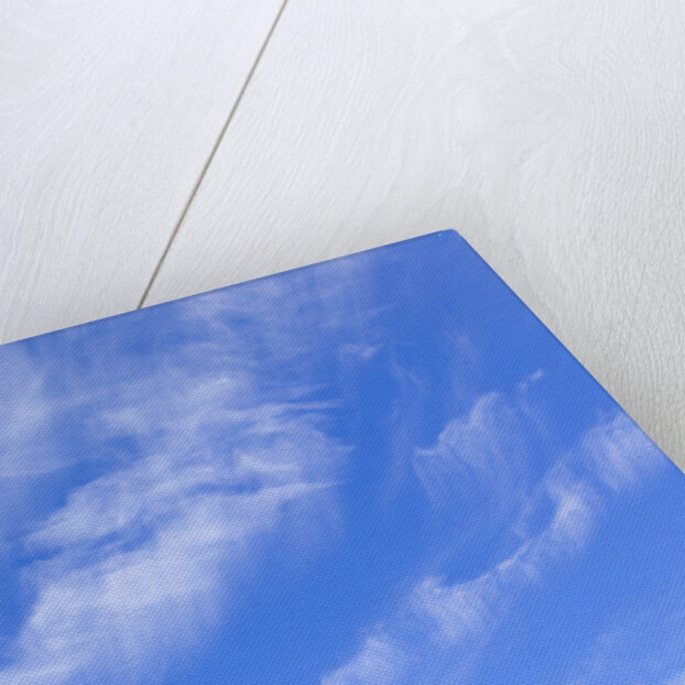 Feathery Cirrus Clouds by Anonymous