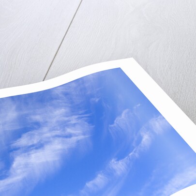 Feathery Cirrus Clouds by Anonymous