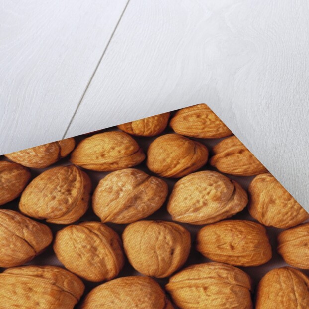 Walnuts by Anonymous