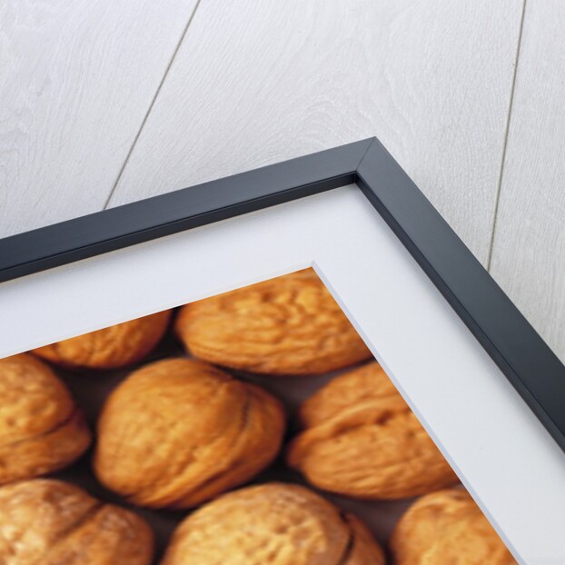 Walnuts by Anonymous