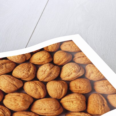 Walnuts by Anonymous